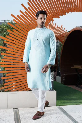 Festive Elegance Panjabi