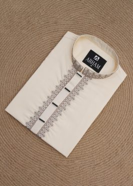 Modern Gentleman Panjabi