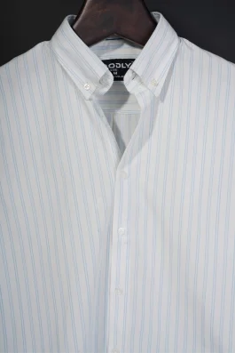 Classic Stripe Casual Shirt for Men